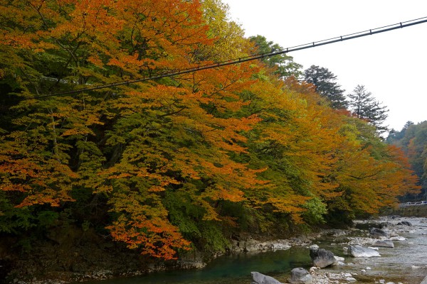 四万温泉の紅葉2