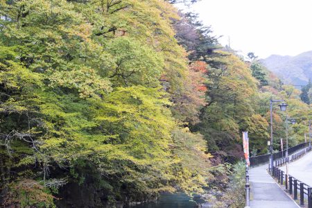 紅葉の四万温泉