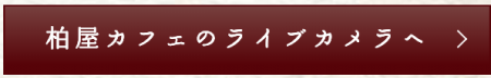 柏屋カフェのライブカメラへ