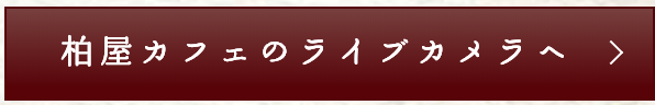 柏屋カフェのライブカメラへ